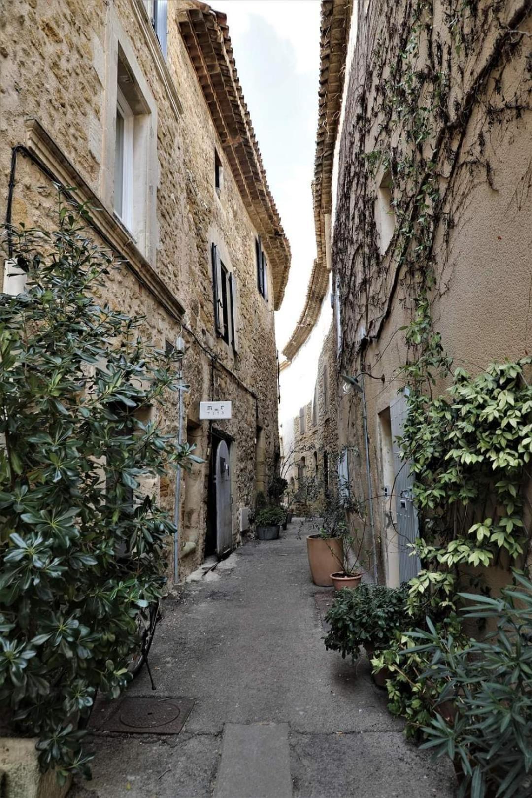 Maison La Plaine Lourmarin Exterior photo